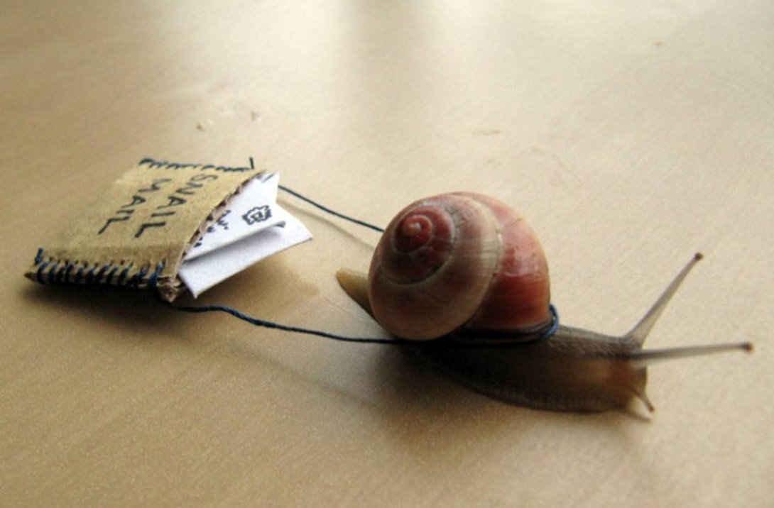 покупки в интернете