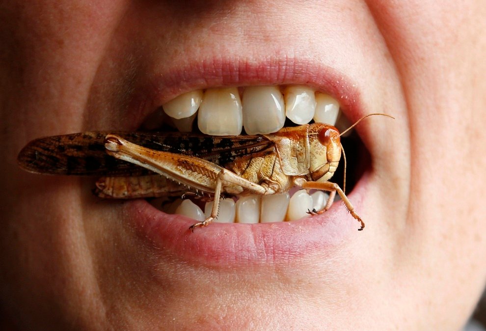 Женщина позирует с саранчой в зубах, Брюссель, Бельгия. Организаторы мероприятия, на котором проводятся кулинарные мастер-классы, хотят обратить внимание людей на насекомых в качестве источника питания. 