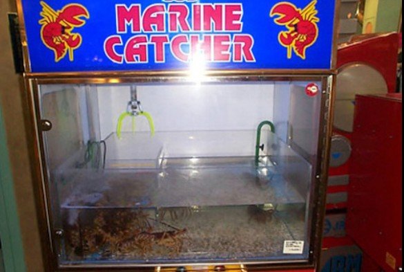 LobsterMachines1613965171