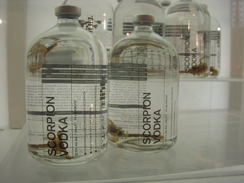 водка на скорпионе