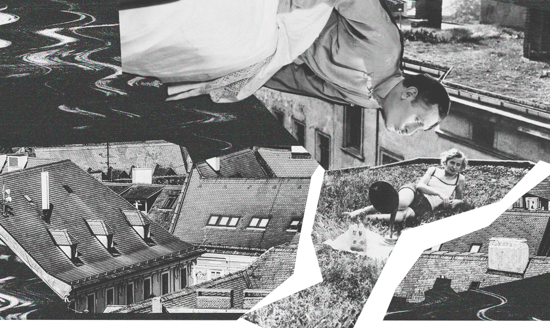 Падение с высоты - причина смерти во время занятия сексом на крыше дома, изображение brodude