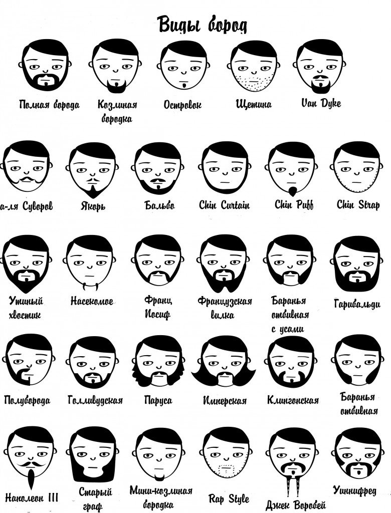 виды бород