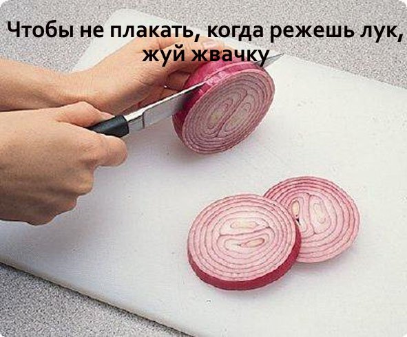 lifehacks 1715531563